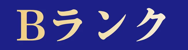 ランクB料金表へ
